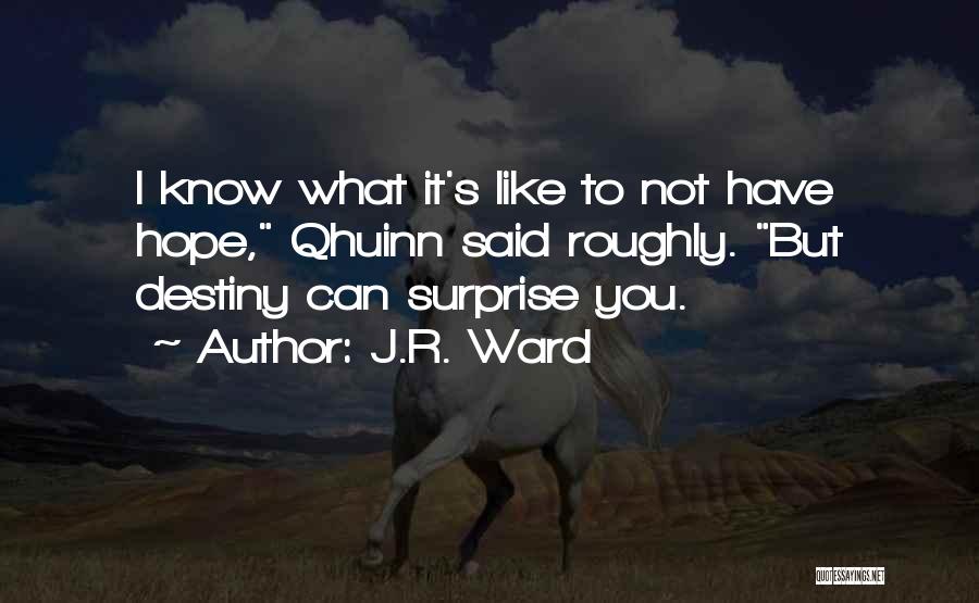 J.R. Ward Quotes: I Know What It's Like To Not Have Hope, Qhuinn Said Roughly. But Destiny Can Surprise You.
