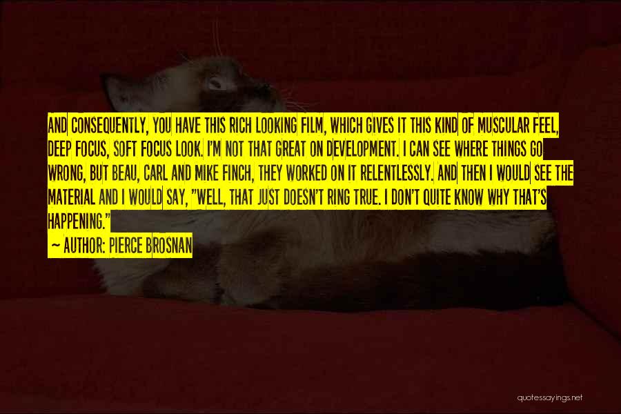 Pierce Brosnan Quotes: And Consequently, You Have This Rich Looking Film, Which Gives It This Kind Of Muscular Feel, Deep Focus, Soft Focus