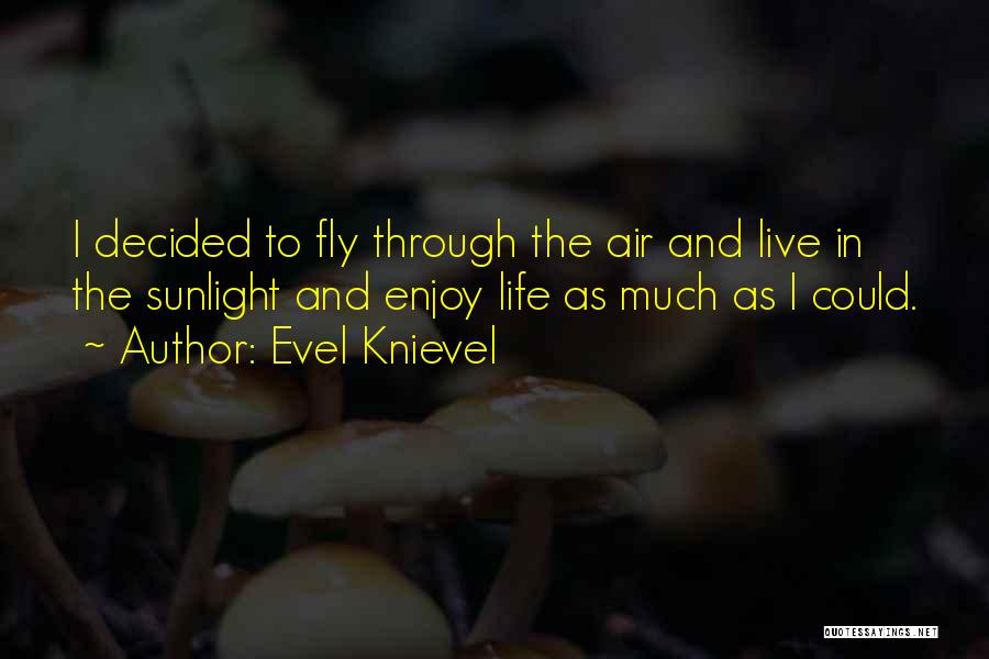 Evel Knievel Quotes: I Decided To Fly Through The Air And Live In The Sunlight And Enjoy Life As Much As I Could.