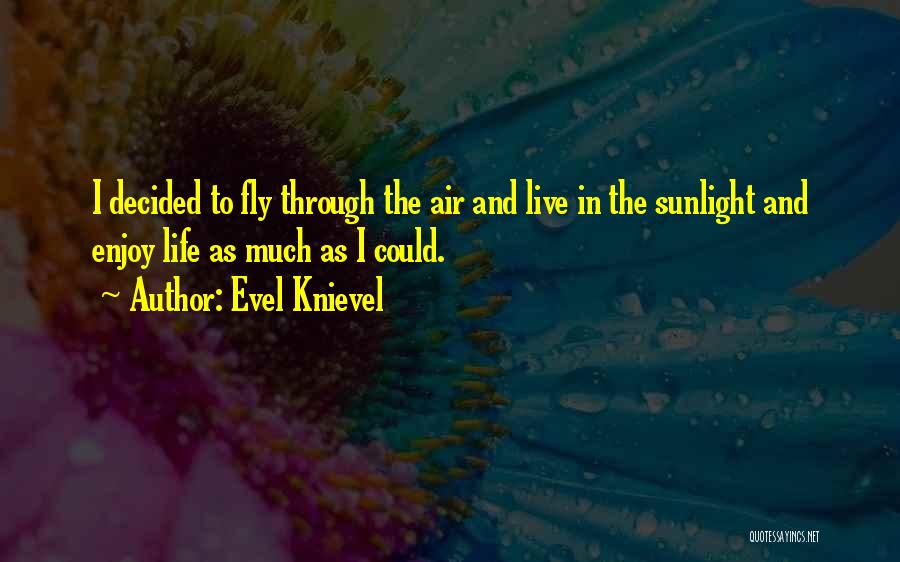 Evel Knievel Quotes: I Decided To Fly Through The Air And Live In The Sunlight And Enjoy Life As Much As I Could.