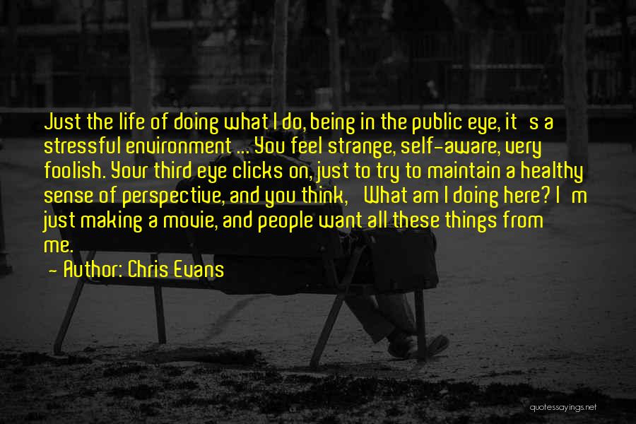 Chris Evans Quotes: Just The Life Of Doing What I Do, Being In The Public Eye, It's A Stressful Environment ... You Feel