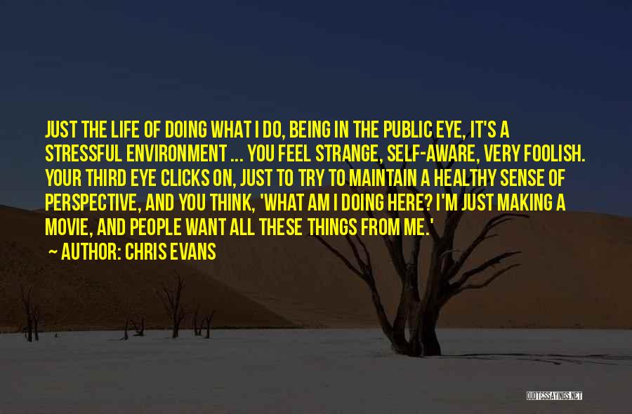 Chris Evans Quotes: Just The Life Of Doing What I Do, Being In The Public Eye, It's A Stressful Environment ... You Feel