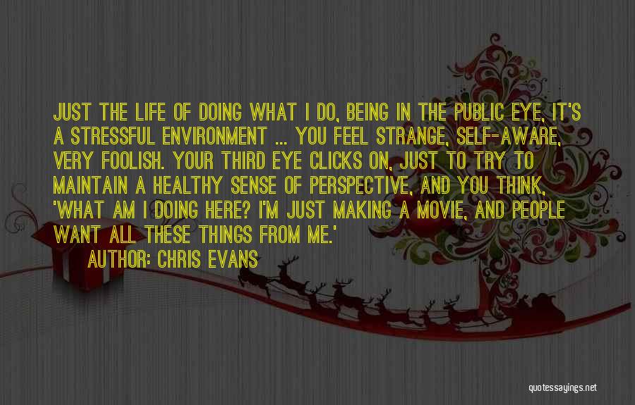 Chris Evans Quotes: Just The Life Of Doing What I Do, Being In The Public Eye, It's A Stressful Environment ... You Feel