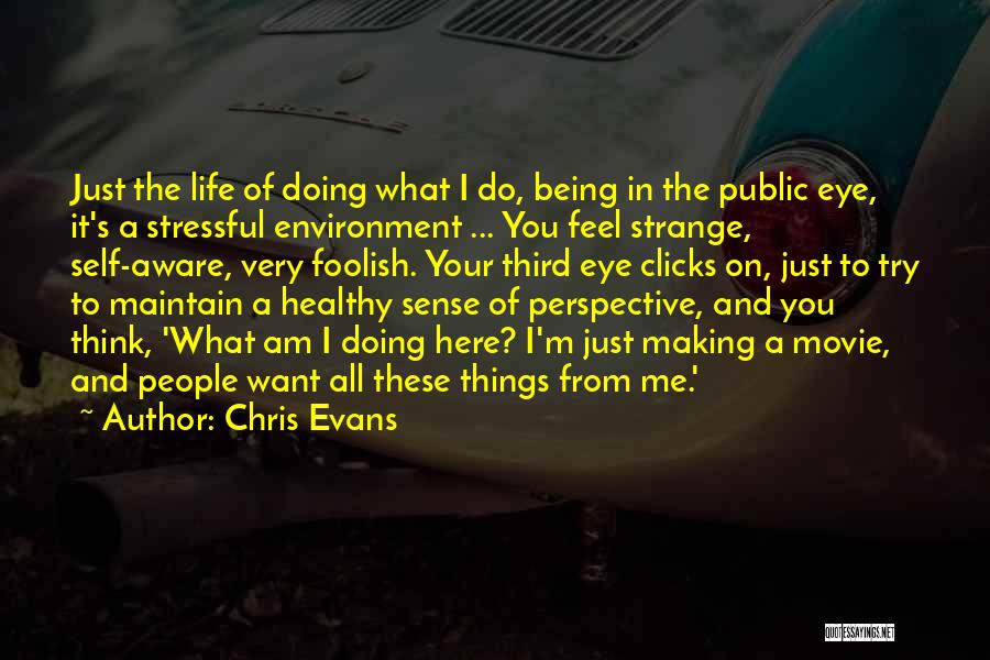 Chris Evans Quotes: Just The Life Of Doing What I Do, Being In The Public Eye, It's A Stressful Environment ... You Feel