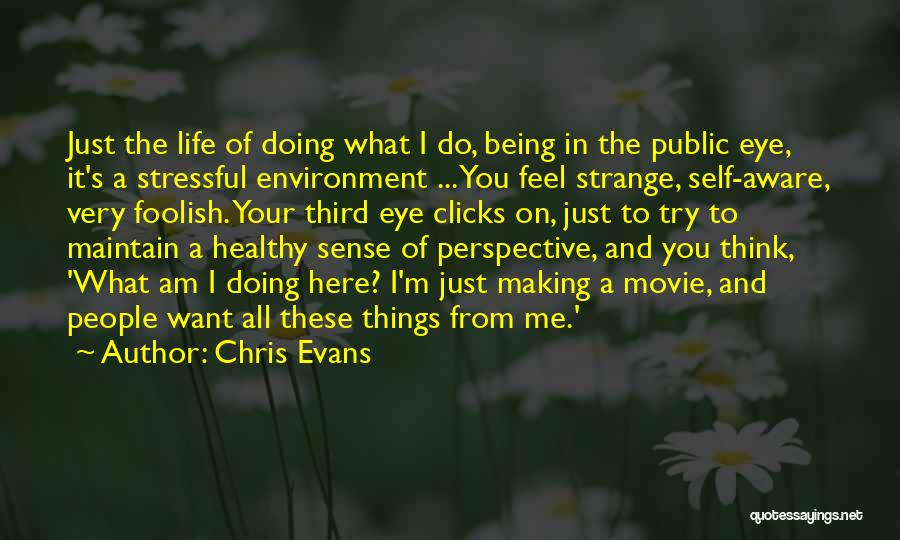 Chris Evans Quotes: Just The Life Of Doing What I Do, Being In The Public Eye, It's A Stressful Environment ... You Feel