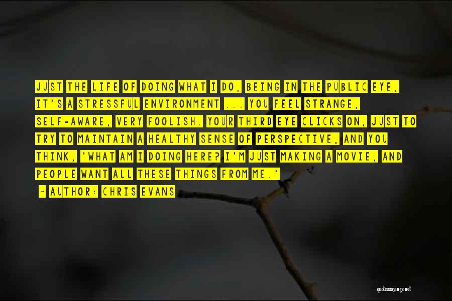 Chris Evans Quotes: Just The Life Of Doing What I Do, Being In The Public Eye, It's A Stressful Environment ... You Feel