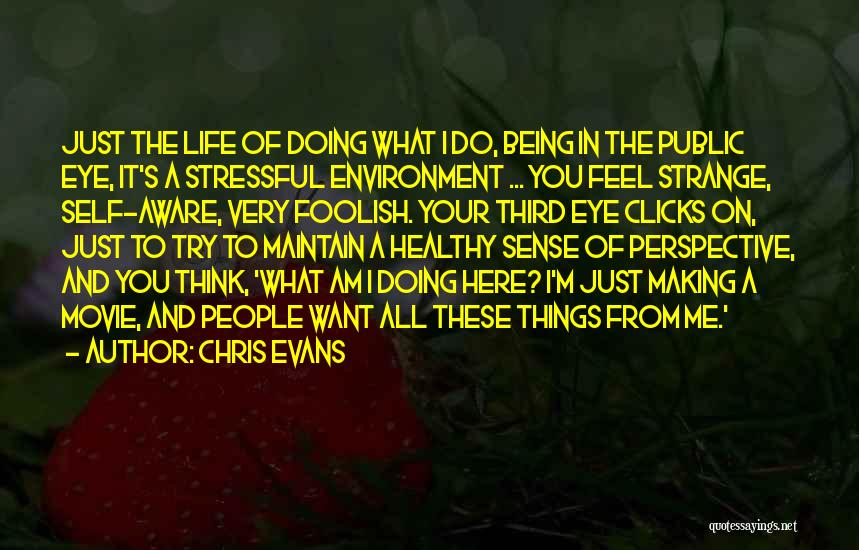 Chris Evans Quotes: Just The Life Of Doing What I Do, Being In The Public Eye, It's A Stressful Environment ... You Feel