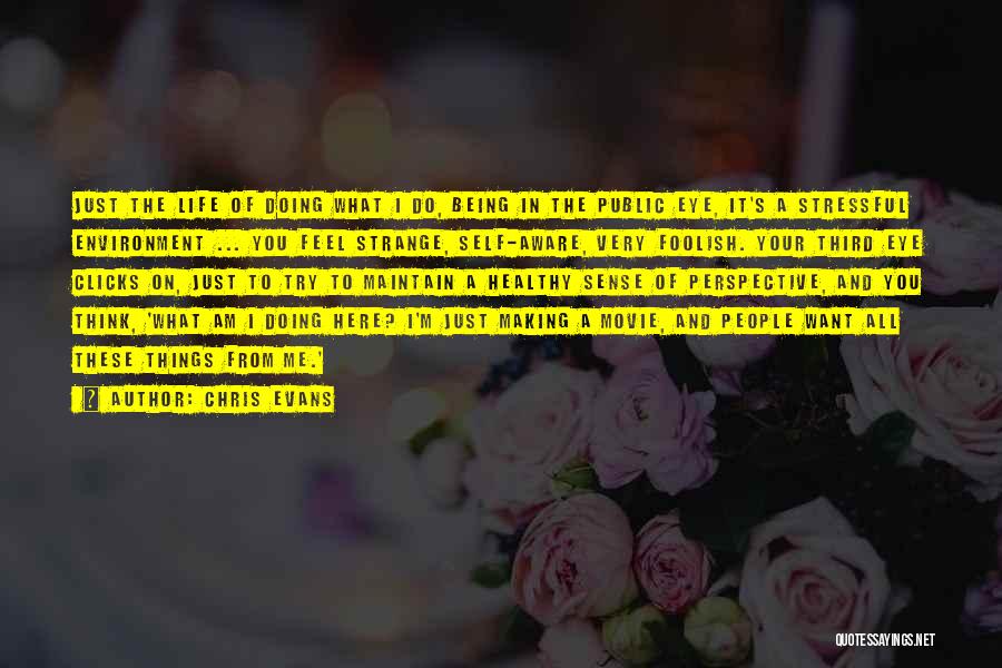 Chris Evans Quotes: Just The Life Of Doing What I Do, Being In The Public Eye, It's A Stressful Environment ... You Feel