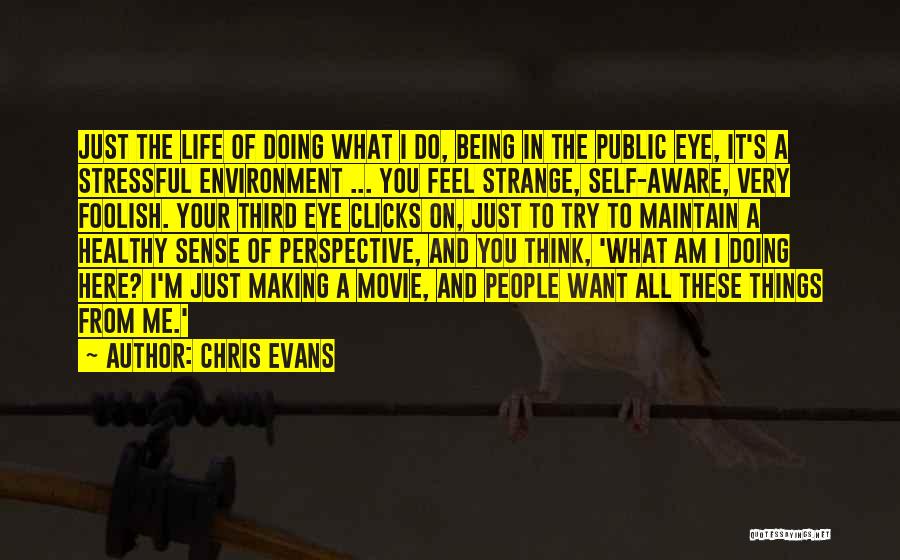 Chris Evans Quotes: Just The Life Of Doing What I Do, Being In The Public Eye, It's A Stressful Environment ... You Feel