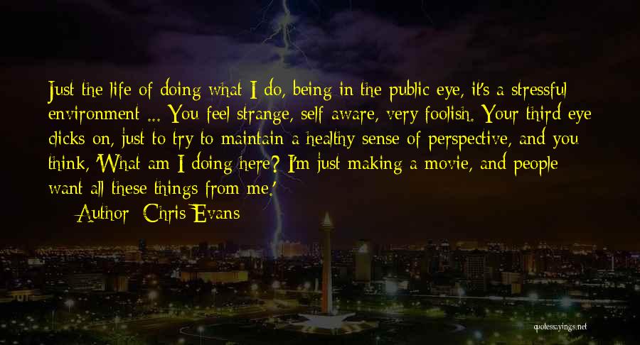 Chris Evans Quotes: Just The Life Of Doing What I Do, Being In The Public Eye, It's A Stressful Environment ... You Feel