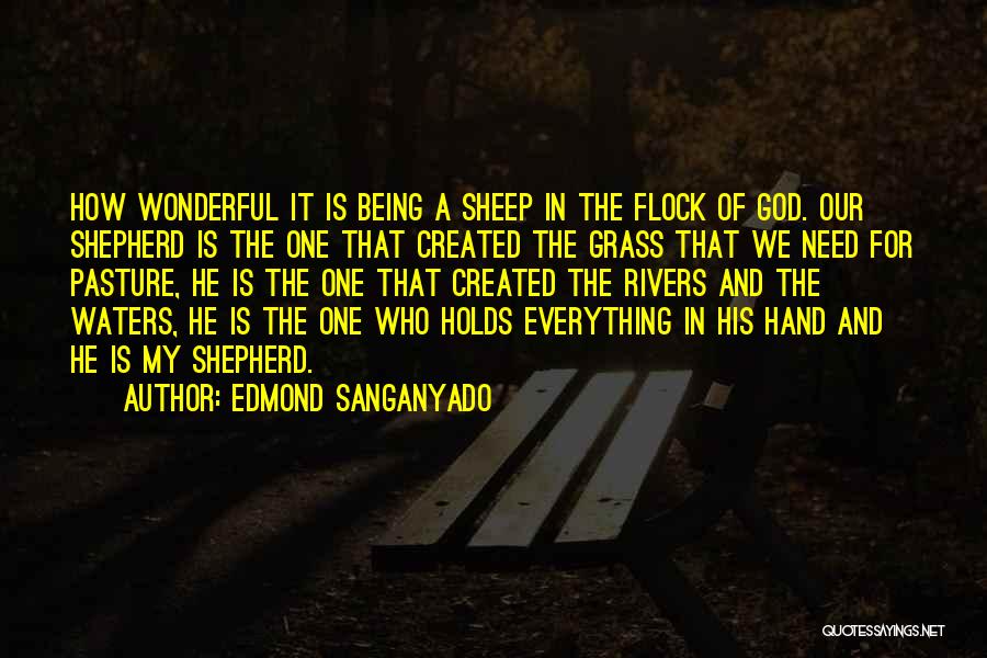 Edmond Sanganyado Quotes: How Wonderful It Is Being A Sheep In The Flock Of God. Our Shepherd Is The One That Created The