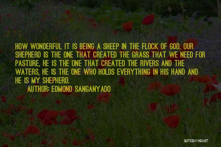 Edmond Sanganyado Quotes: How Wonderful It Is Being A Sheep In The Flock Of God. Our Shepherd Is The One That Created The