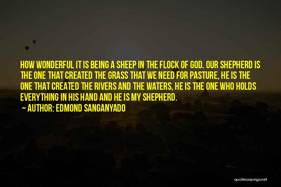 Edmond Sanganyado Quotes: How Wonderful It Is Being A Sheep In The Flock Of God. Our Shepherd Is The One That Created The