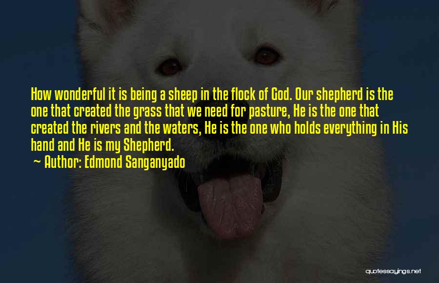 Edmond Sanganyado Quotes: How Wonderful It Is Being A Sheep In The Flock Of God. Our Shepherd Is The One That Created The