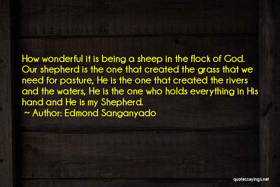 Edmond Sanganyado Quotes: How Wonderful It Is Being A Sheep In The Flock Of God. Our Shepherd Is The One That Created The