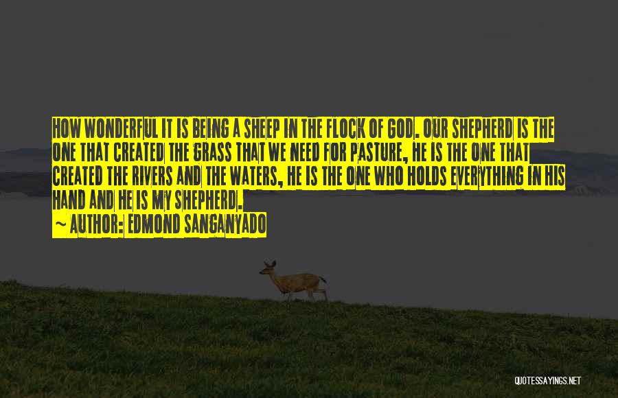 Edmond Sanganyado Quotes: How Wonderful It Is Being A Sheep In The Flock Of God. Our Shepherd Is The One That Created The