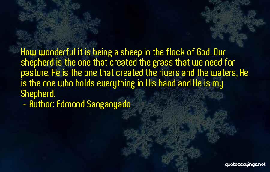 Edmond Sanganyado Quotes: How Wonderful It Is Being A Sheep In The Flock Of God. Our Shepherd Is The One That Created The