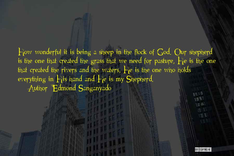 Edmond Sanganyado Quotes: How Wonderful It Is Being A Sheep In The Flock Of God. Our Shepherd Is The One That Created The