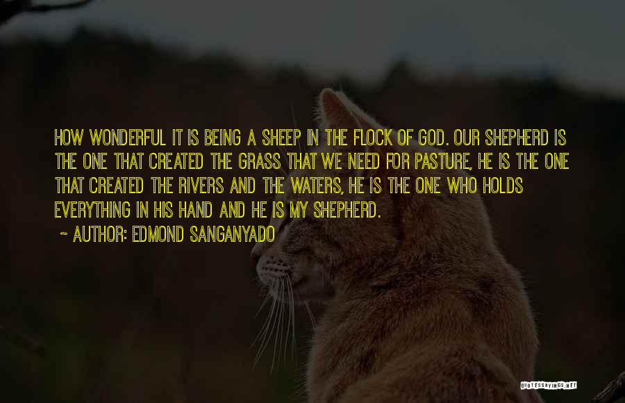 Edmond Sanganyado Quotes: How Wonderful It Is Being A Sheep In The Flock Of God. Our Shepherd Is The One That Created The