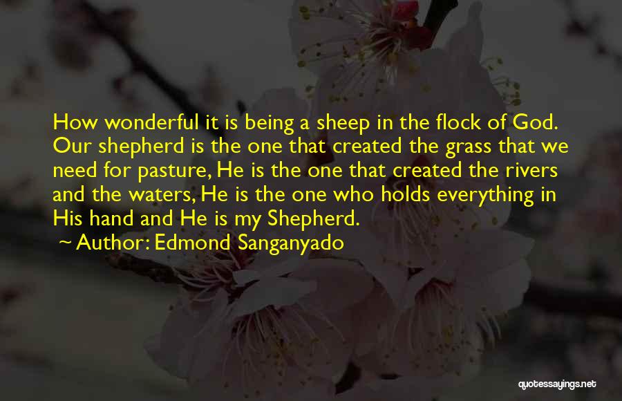 Edmond Sanganyado Quotes: How Wonderful It Is Being A Sheep In The Flock Of God. Our Shepherd Is The One That Created The