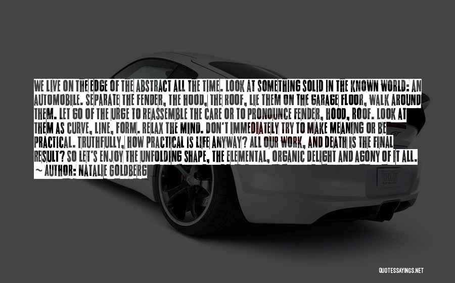 Natalie Goldberg Quotes: We Live On The Edge Of The Abstract All The Time. Look At Something Solid In The Known World: An