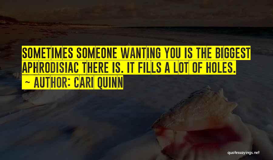 Cari Quinn Quotes: Sometimes Someone Wanting You Is The Biggest Aphrodisiac There Is. It Fills A Lot Of Holes.