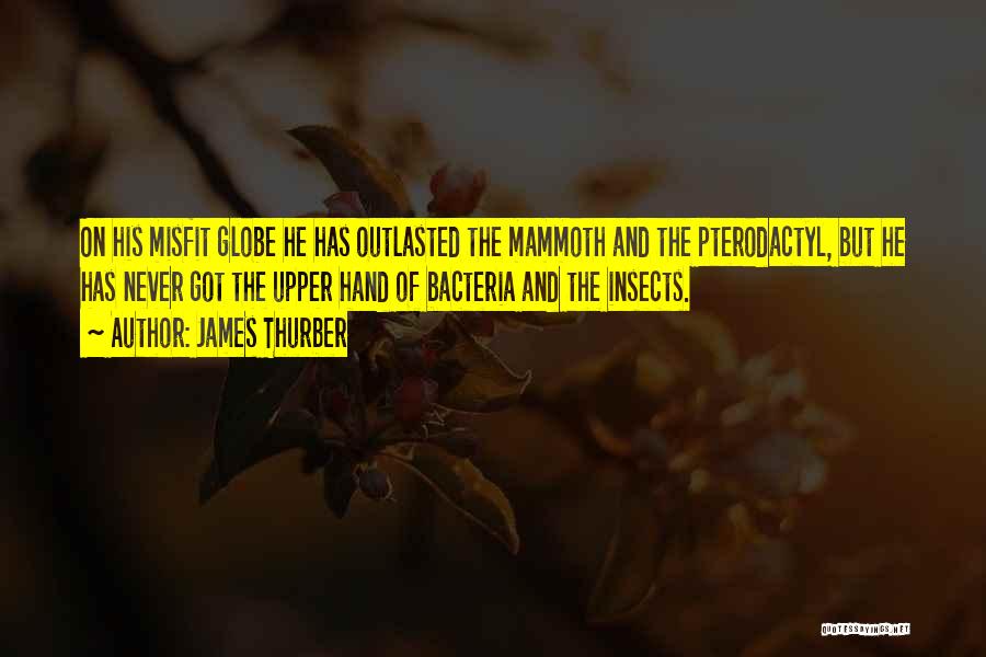 James Thurber Quotes: On His Misfit Globe He Has Outlasted The Mammoth And The Pterodactyl, But He Has Never Got The Upper Hand