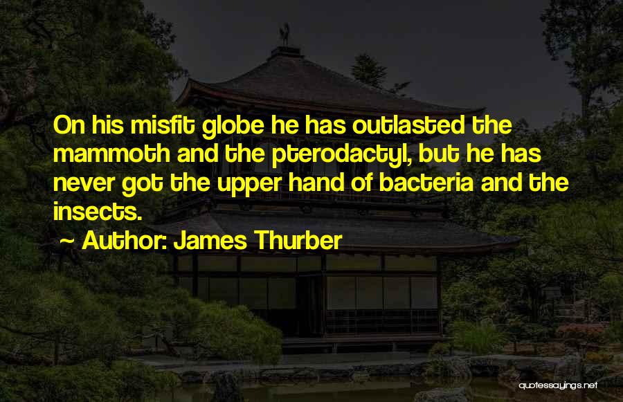 James Thurber Quotes: On His Misfit Globe He Has Outlasted The Mammoth And The Pterodactyl, But He Has Never Got The Upper Hand