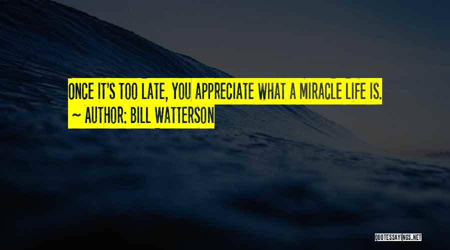 Bill Watterson Quotes: Once It's Too Late, You Appreciate What A Miracle Life Is.
