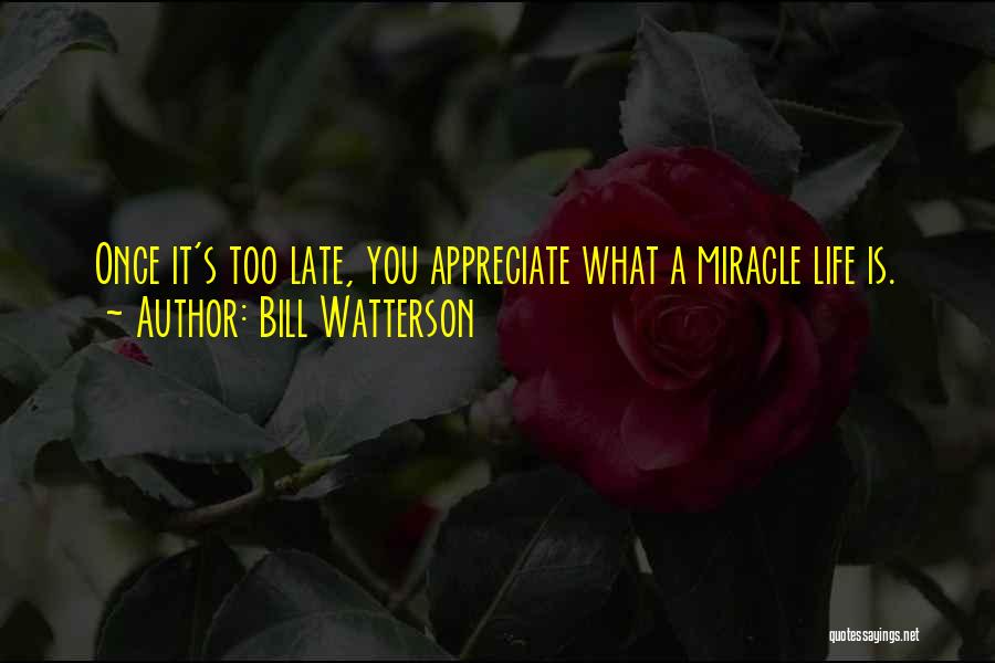 Bill Watterson Quotes: Once It's Too Late, You Appreciate What A Miracle Life Is.