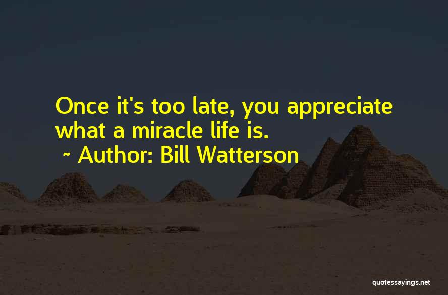 Bill Watterson Quotes: Once It's Too Late, You Appreciate What A Miracle Life Is.