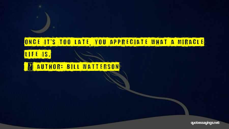 Bill Watterson Quotes: Once It's Too Late, You Appreciate What A Miracle Life Is.