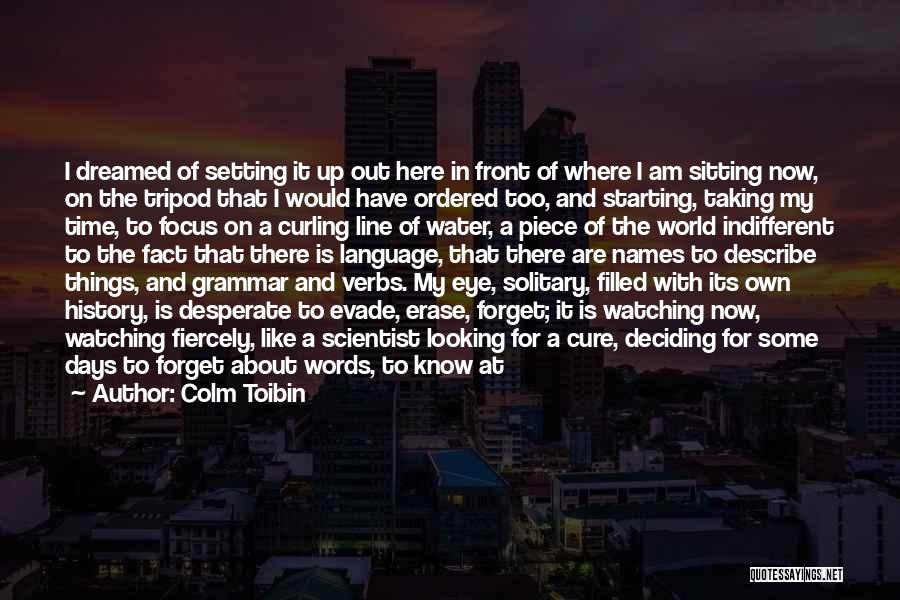 Colm Toibin Quotes: I Dreamed Of Setting It Up Out Here In Front Of Where I Am Sitting Now, On The Tripod That