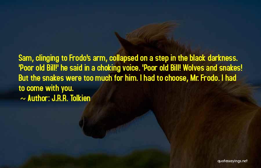 J.R.R. Tolkien Quotes: Sam, Clinging To Frodo's Arm, Collapsed On A Step In The Black Darkness. 'poor Old Bill!' He Said In A