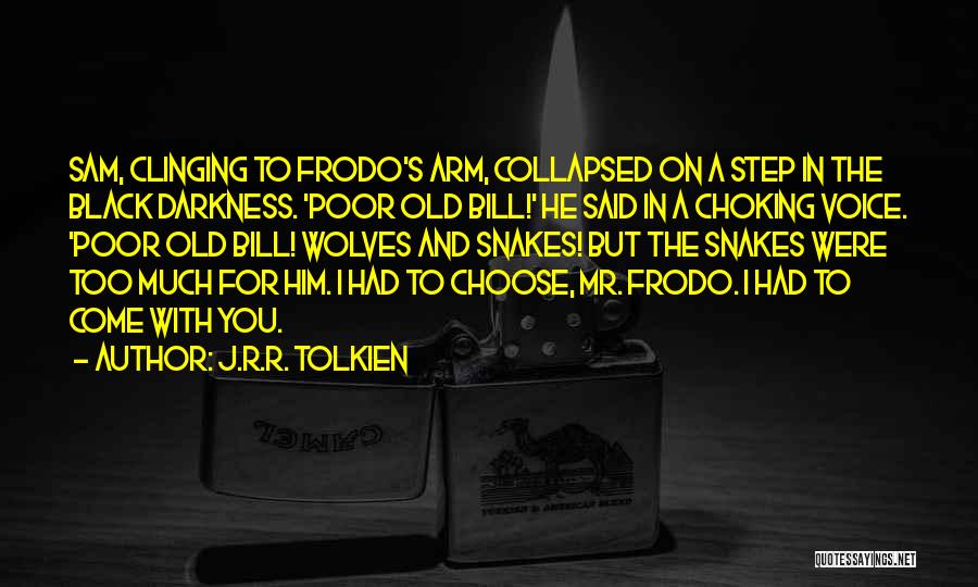 J.R.R. Tolkien Quotes: Sam, Clinging To Frodo's Arm, Collapsed On A Step In The Black Darkness. 'poor Old Bill!' He Said In A