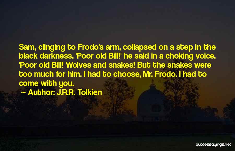 J.R.R. Tolkien Quotes: Sam, Clinging To Frodo's Arm, Collapsed On A Step In The Black Darkness. 'poor Old Bill!' He Said In A