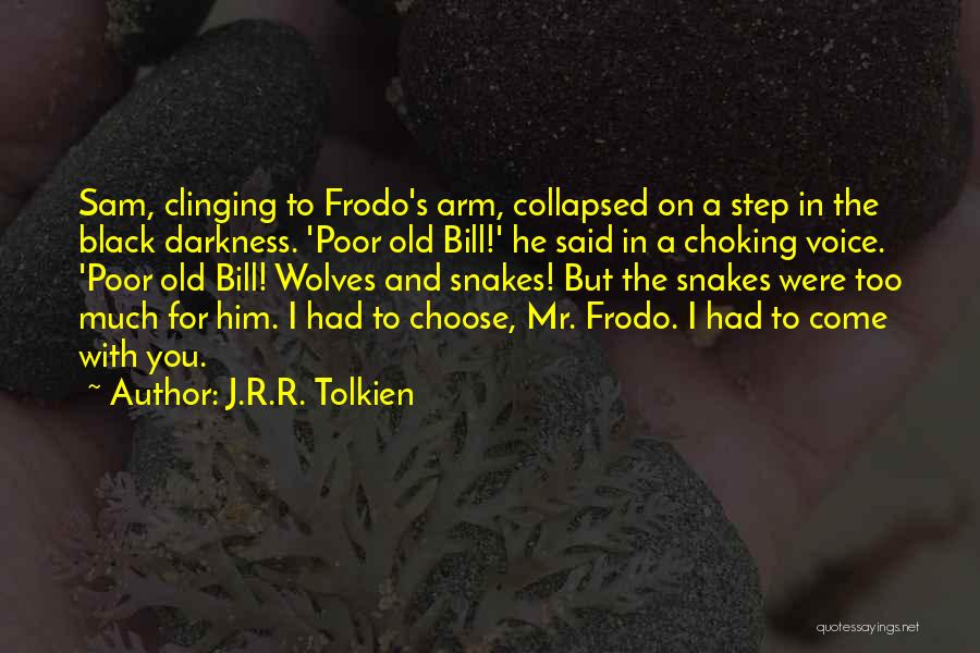 J.R.R. Tolkien Quotes: Sam, Clinging To Frodo's Arm, Collapsed On A Step In The Black Darkness. 'poor Old Bill!' He Said In A