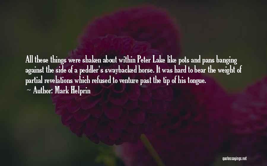 Mark Helprin Quotes: All These Things Were Shaken About Within Peter Lake Like Pots And Pans Banging Against The Side Of A Peddler's