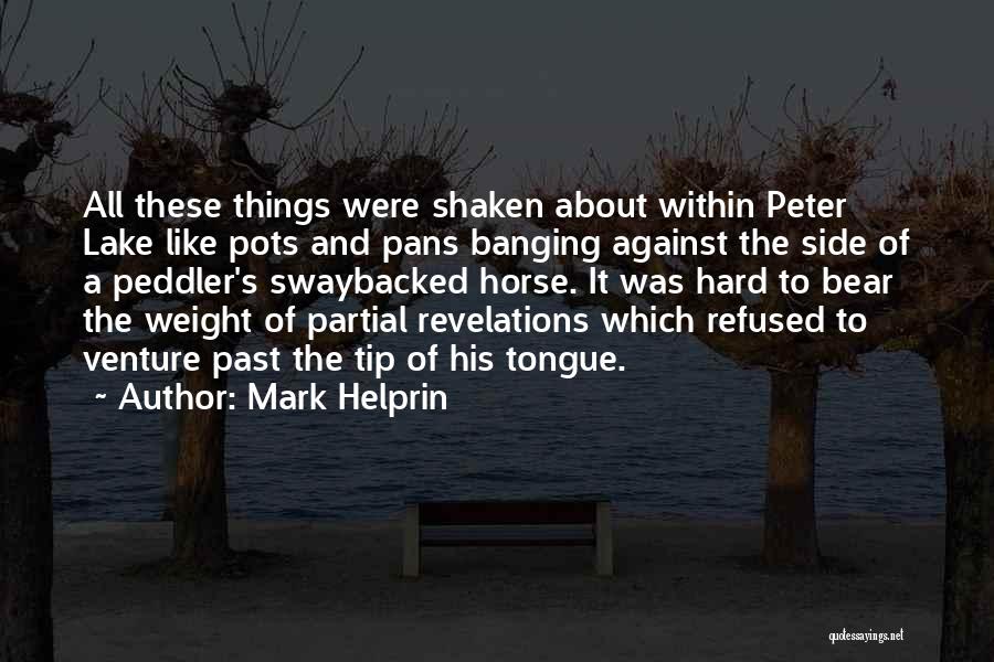 Mark Helprin Quotes: All These Things Were Shaken About Within Peter Lake Like Pots And Pans Banging Against The Side Of A Peddler's
