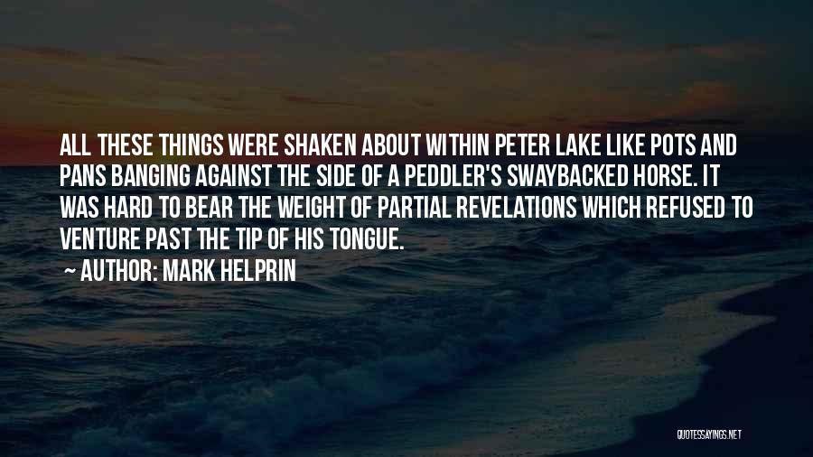 Mark Helprin Quotes: All These Things Were Shaken About Within Peter Lake Like Pots And Pans Banging Against The Side Of A Peddler's