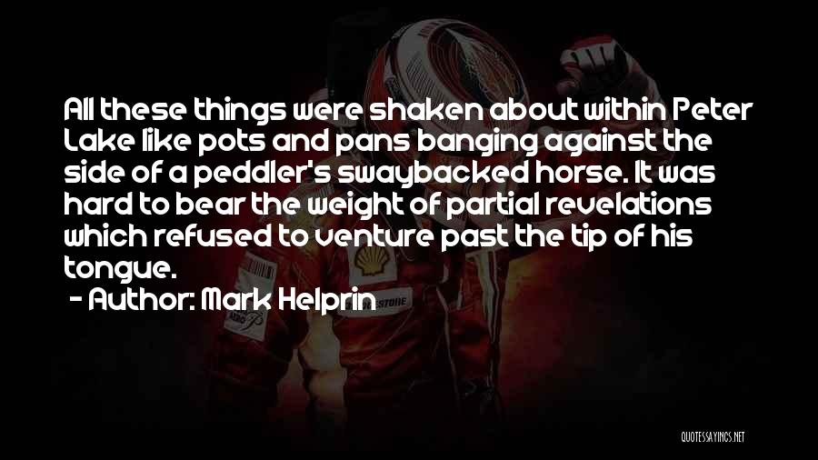 Mark Helprin Quotes: All These Things Were Shaken About Within Peter Lake Like Pots And Pans Banging Against The Side Of A Peddler's