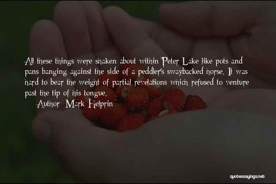 Mark Helprin Quotes: All These Things Were Shaken About Within Peter Lake Like Pots And Pans Banging Against The Side Of A Peddler's