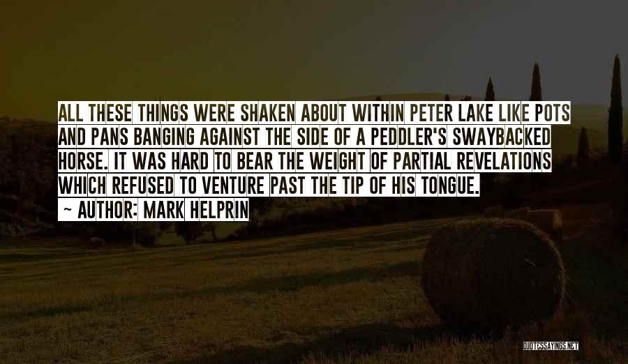 Mark Helprin Quotes: All These Things Were Shaken About Within Peter Lake Like Pots And Pans Banging Against The Side Of A Peddler's