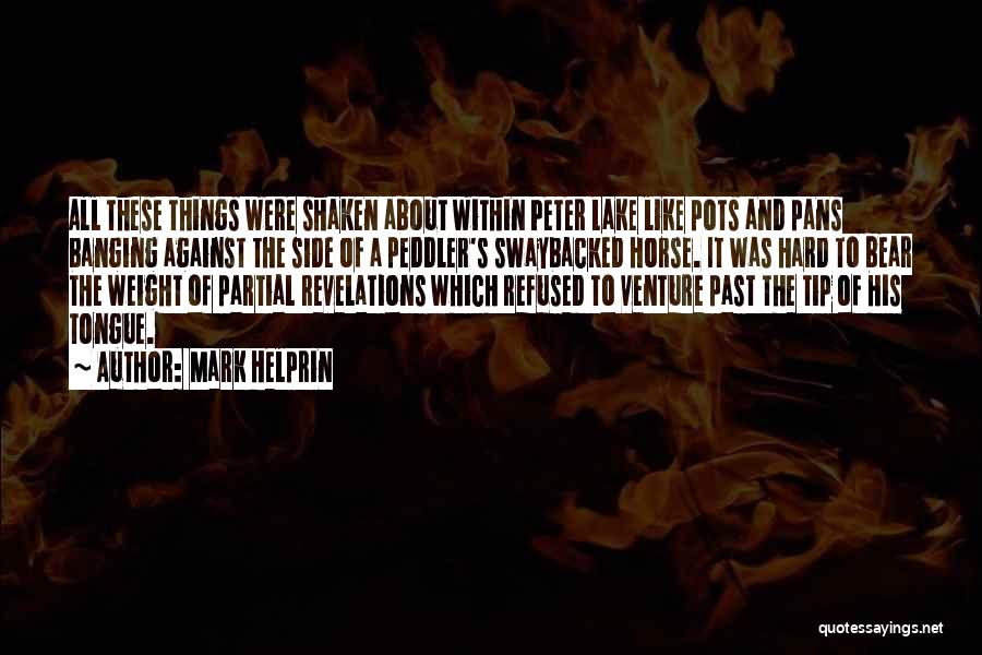 Mark Helprin Quotes: All These Things Were Shaken About Within Peter Lake Like Pots And Pans Banging Against The Side Of A Peddler's