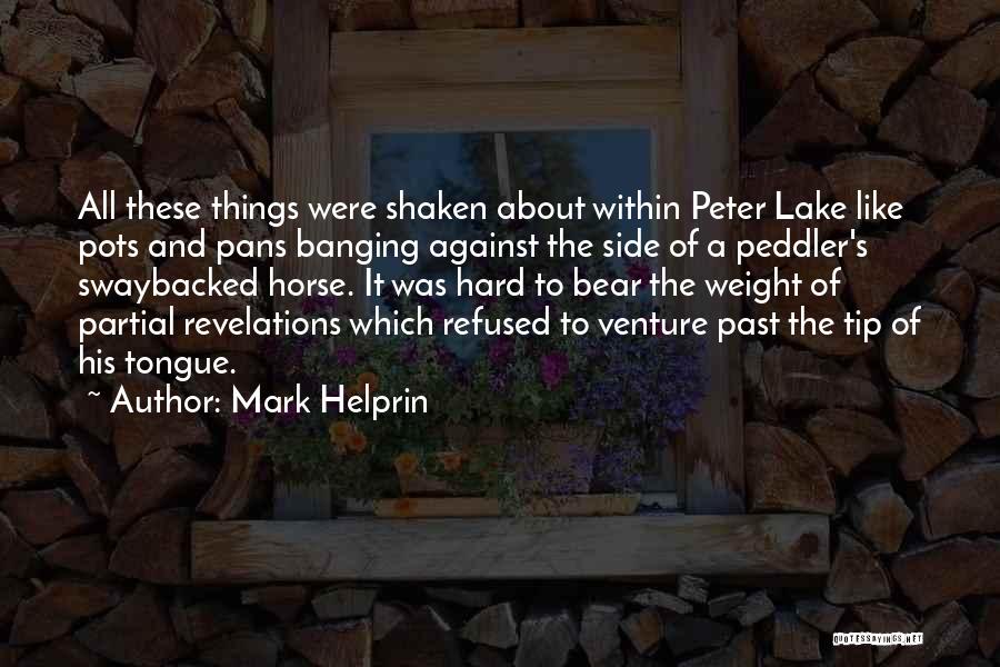 Mark Helprin Quotes: All These Things Were Shaken About Within Peter Lake Like Pots And Pans Banging Against The Side Of A Peddler's