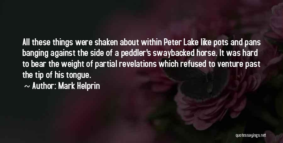 Mark Helprin Quotes: All These Things Were Shaken About Within Peter Lake Like Pots And Pans Banging Against The Side Of A Peddler's