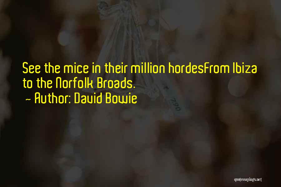 David Bowie Quotes: See The Mice In Their Million Hordesfrom Ibiza To The Norfolk Broads.