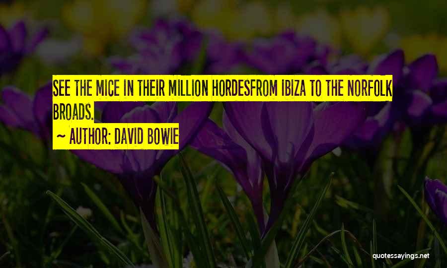 David Bowie Quotes: See The Mice In Their Million Hordesfrom Ibiza To The Norfolk Broads.