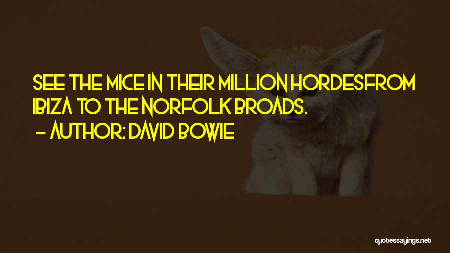 David Bowie Quotes: See The Mice In Their Million Hordesfrom Ibiza To The Norfolk Broads.