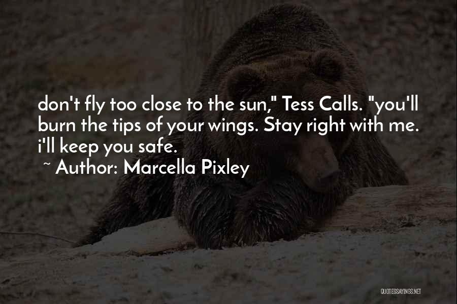 Marcella Pixley Quotes: Don't Fly Too Close To The Sun, Tess Calls. You'll Burn The Tips Of Your Wings. Stay Right With Me.